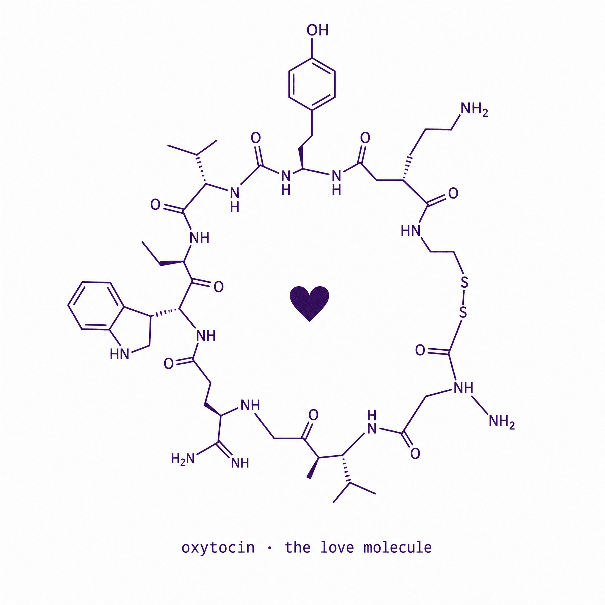 Oxytocin T-shirt artwork